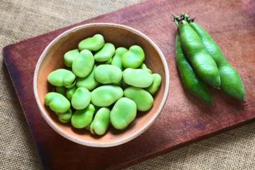 Fava Beans